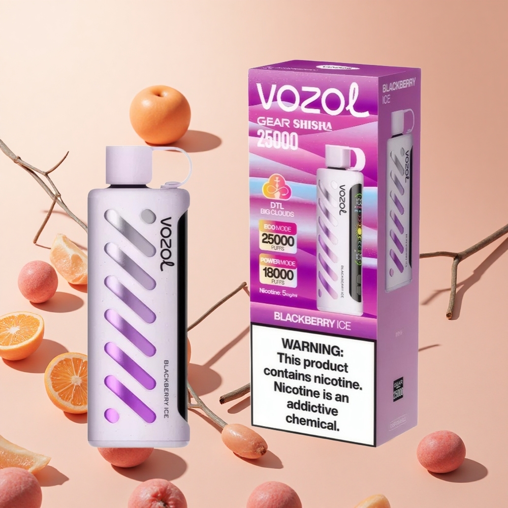 Feketeáfonya Jég VOZOL Gear Shisha 25000 Belszívás hungary wholesale Dual Mesh Dual Modes